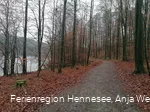 Wegbeschaffenheit Wogenweg am Hennesee