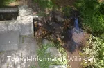 kneippanlage-waschkump41 c) tourist-information-willingen.jpg
