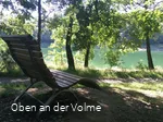 Waldsofa mit Ausblick