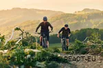 Mountain bikers out and about at TrailGround Brilon.
