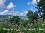 Blick über das Lennetal