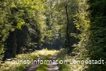 Wanderweg an der Einsiedelei