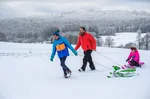 Sledging Sauerland Tourismus e.V. - Klaus Peter Kappe.png