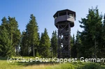 Ein Holzturm mit Dach inmitten von Tannen und einer Wiese.