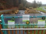 IMG-20201206-WA0006.jpg