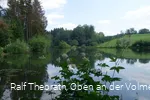 Idyllisch: Die Teiche entlang der Wanderstrecke