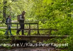 Sauerland-Waldroute-Bibertal.jpg