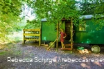 Travel blogger Rebecca Schirge in the Vosswinkel wild forest