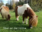 Zutraulich und liebevoll