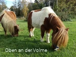 Zutraulich und liebevoll