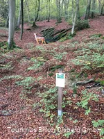 Erlebnisweg Drumecke