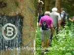 Wandern auf dem Bestwiger Panoramaweg