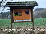 Infotafel Wildschweinweg ©M.Kind.jpg