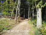 Wanderwegabschnitt VolmeSchatz Sagen auf dem Arney bei Kierspe