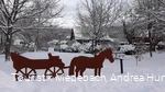 Winter in Küstelberg