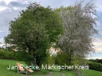 Waldsofa am Roden-Hennes-Weg
