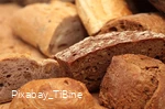 Pixabay_TiBine.jpg
