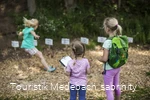 Familienspaziergang auf dem Motorikpfad in Medebach
