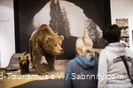 Zwei Frauen schauen sich im Höhlenmuseum zwei Bären an.