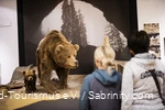 Zwei Frauen schauen sich im Höhlenmuseum zwei Bären an.