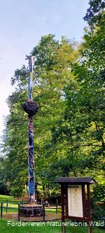 Naturerlebnis Wald Meerhof