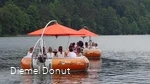 Diemel Donut
