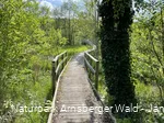Brücke auf der Sauerland-Waldroute