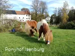 Ponyhof Isenburg