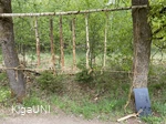 IMG_2926.jpeg