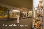 Blick ins Schieferbergbaumuseum in Holthausen