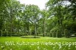 Kurpark Bad Waldliesborn
