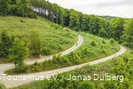 Luftaufnahme von einem Mann auf einem Gravelbike durch grüne Landschaft. Der Weg macht eine 180-Grad-Kurve.