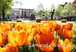 Town center7.jpg