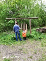Sin forest xylophone