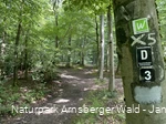 Pfad Nähe Danzturm Iserlohn