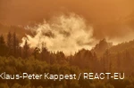 Wisps of mist over the autumnal forest.