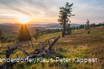 Kahle Pön und weite Landschaft bei Sonnenuntergang.