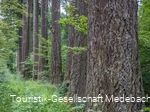 Sauerland-Seelenort Himmelssäulen