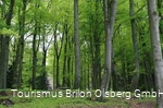 Kneipp WanderWeg Olsberg