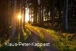 Wandelpaden