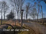 Scheuerpfahl Phönix