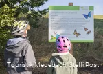 Entdeckerpfade für Familien in Medebach