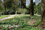 Der Frühling bringt die eine oder andere Blütenpra