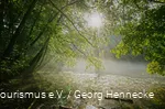 De zon breekt door de takken van de bomen rond de Almequellen.
