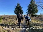 Wandergruppe auf der Sauerland-Waldroute Richtung Lörmecketurm