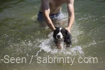 Hund schwimmt im Wasser am Diemelsee. Die Familie macht Urlaub mit Hund im Sauerland.