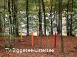 Bewegungsmeile an dem Biggesee 5