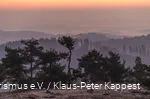 Uitzicht op het landschap vanaf de Osterkopf bij Willingen.
