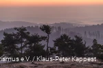 Uitzicht op het landschap vanaf de Osterkopf bij Willingen.
