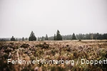 Foto-10.jpg